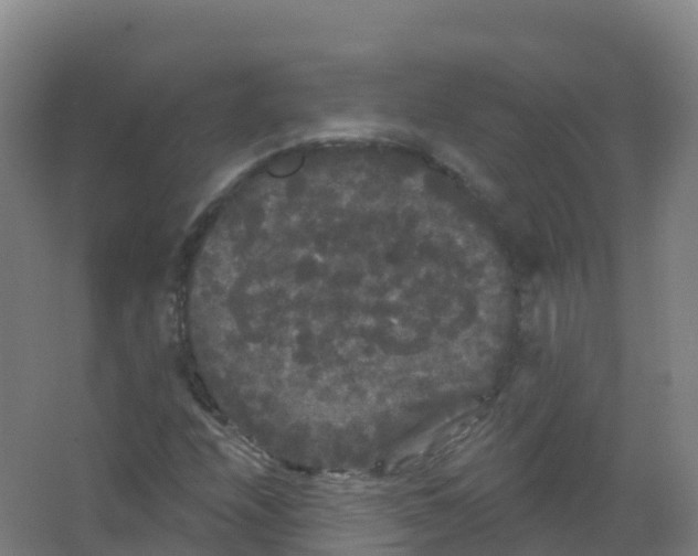 X0000066931208200604141949