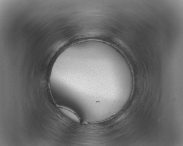 X0000066931210200604141949