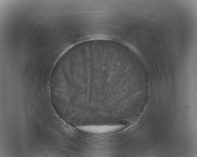 X0000066931212200604141949