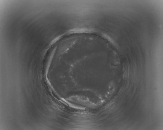 X0000066931213200604141949