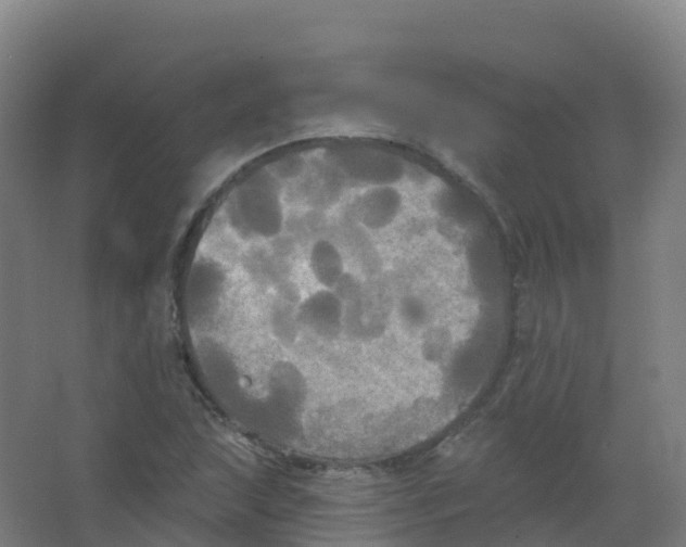 X0000066931215200604141949