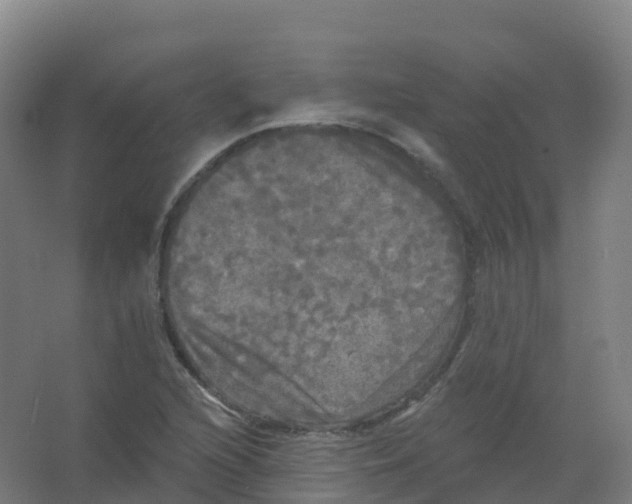 X0000066931216200604141949