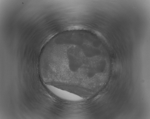 X0000066931217200604141949