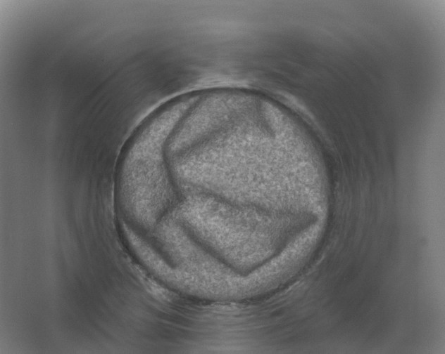 X0000066931220200604141949