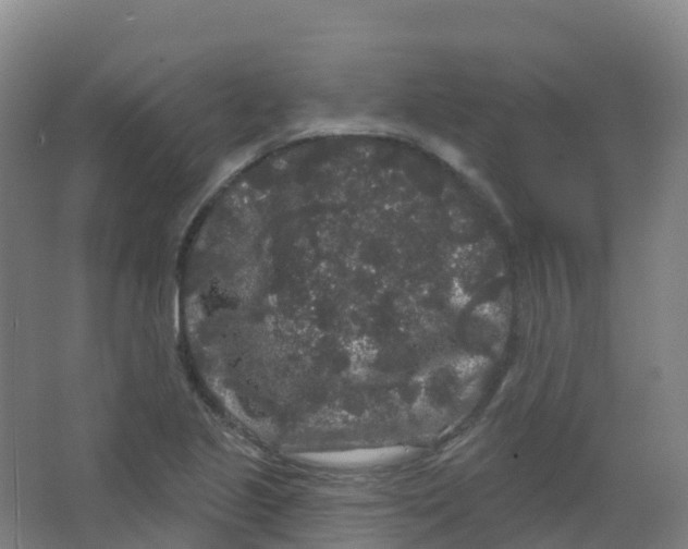 X0000066931221200604141949