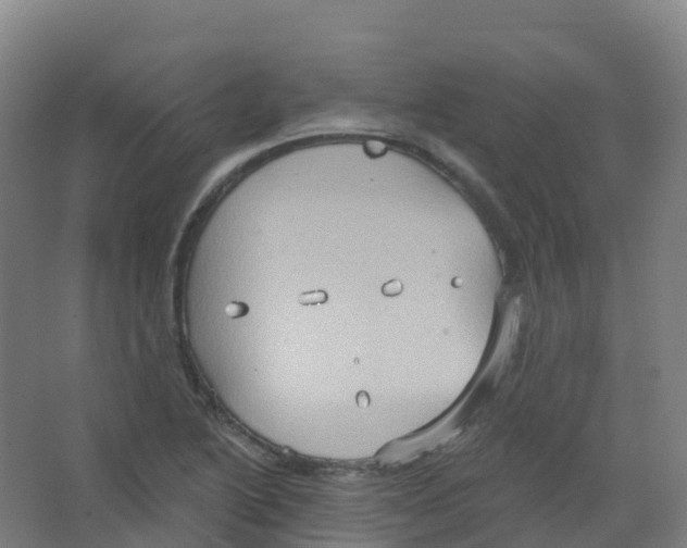 X0000066931222200604141949