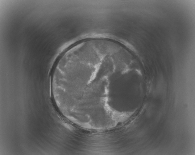 X0000066931223200604141949