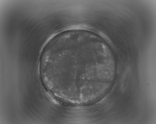 X0000066931224200604141949