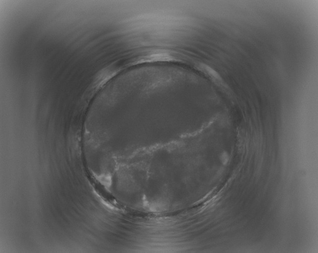 X0000066931225200604141949