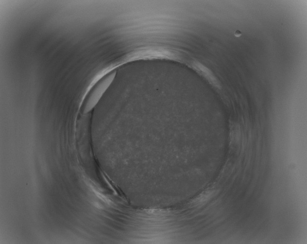 X0000066931226200604141949