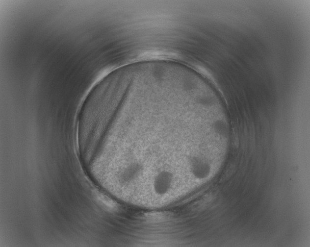 X0000066931227200604141949