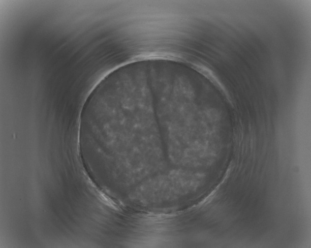 X0000066931228200604141949