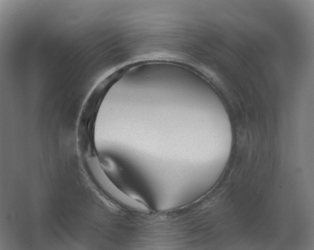 X0000066931230200604141949