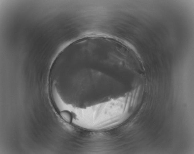 X0000066931231200604141949