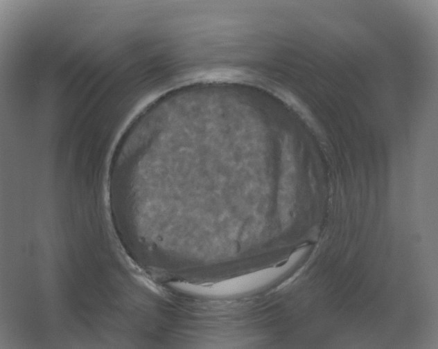 X0000066931232200604141949