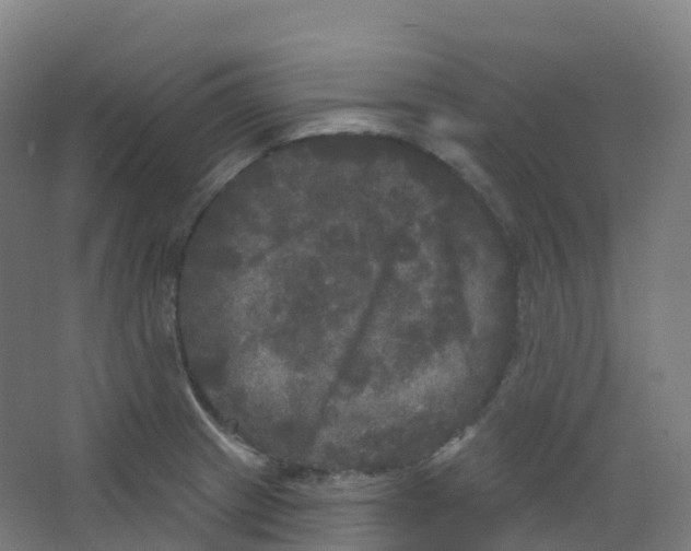 X0000066931233200604141949