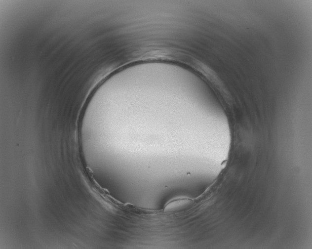 X0000066931234200604141949