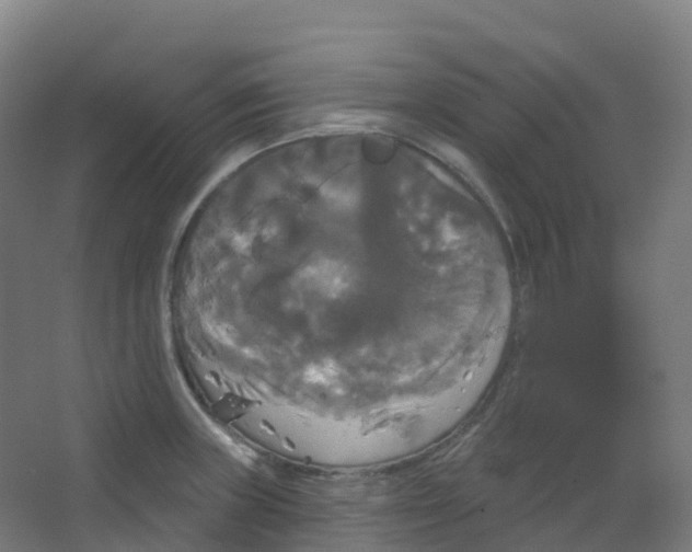 X0000066931235200604141949