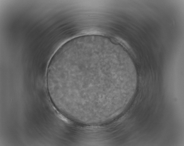 X0000066931236200604141949