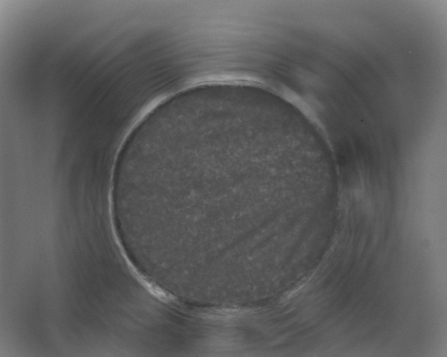 X0000066931237200604141949