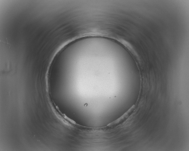 X0000066931238200604141949