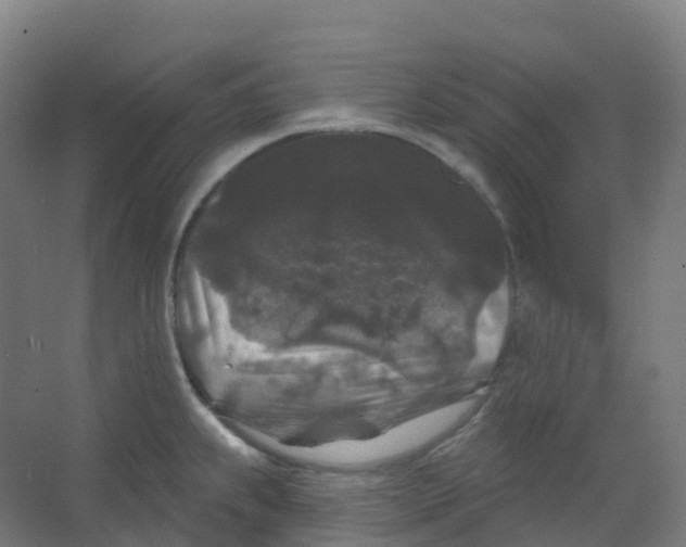 X0000066931239200604141949