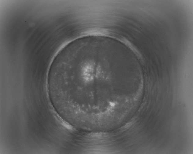 X0000066931240200604141949