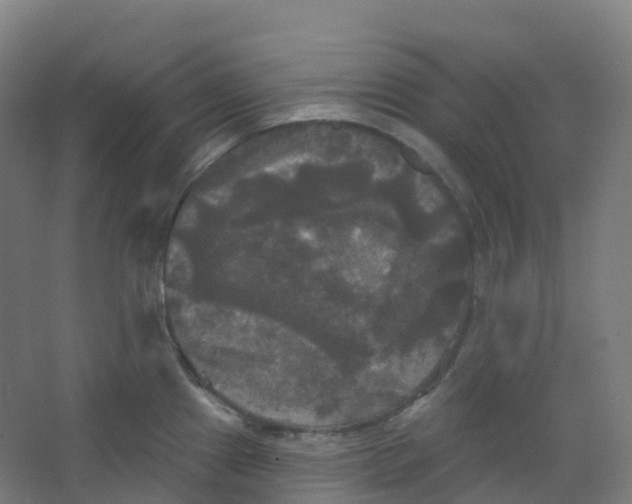 X0000066931241200604141949