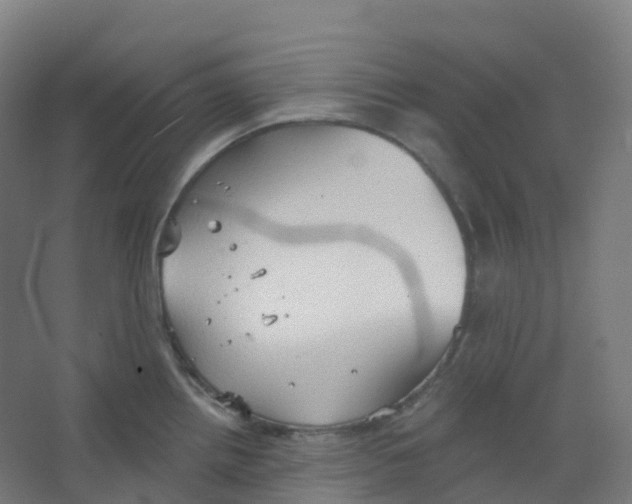 X0000066931242200604141949