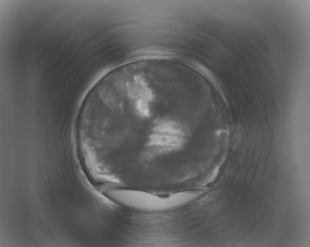 X0000066931243200604141949