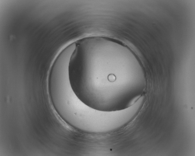 X0000066931246200604141949