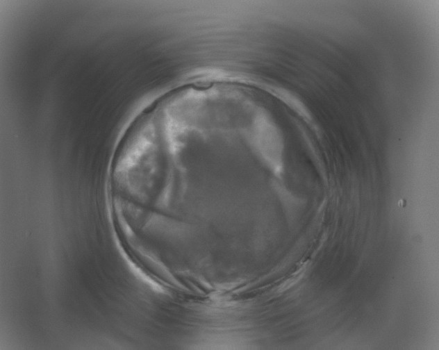 X0000066931247200604141950