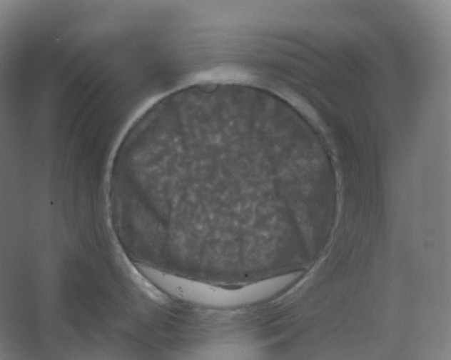 X0000066931248200604141950