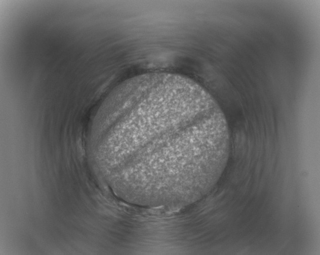 X0000066931250200604141949