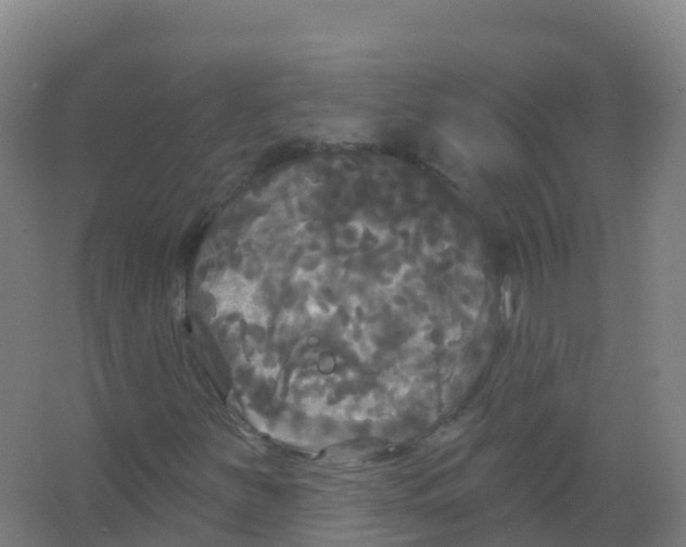 X0000066931251200604141949