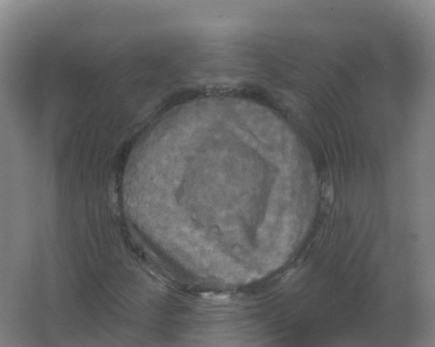 X0000066931252200604141949