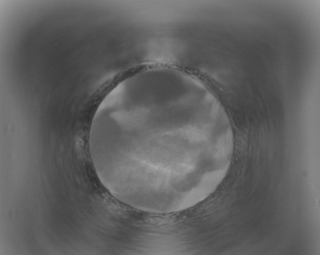 X0000066931254200604141949