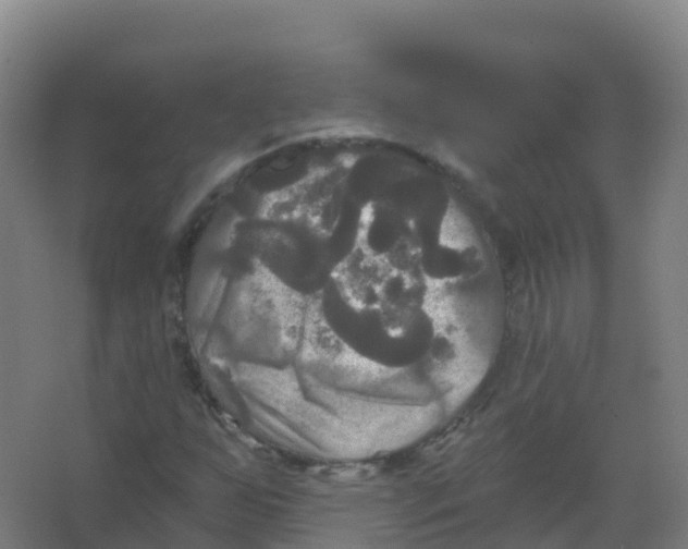 X0000066931255200604141949