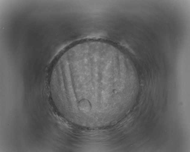 X0000066931256200604141949