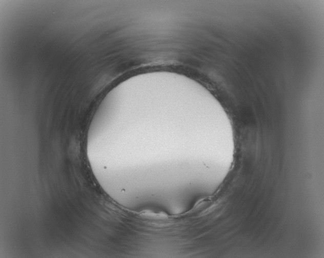 X0000066931257200604141949