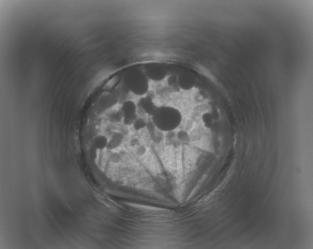 X0000066931259200604141949