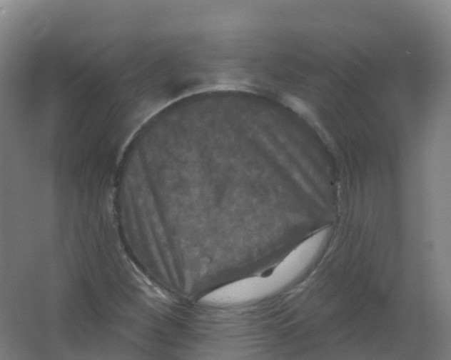 X0000066931260200604141949