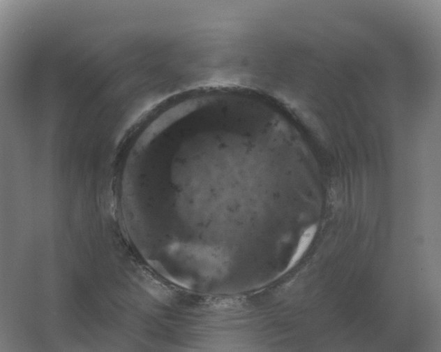 X0000066931262200604141948