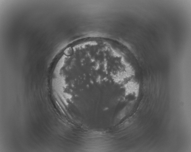 X0000066931263200604141948