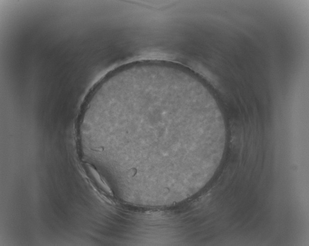 X0000066931264200604141948