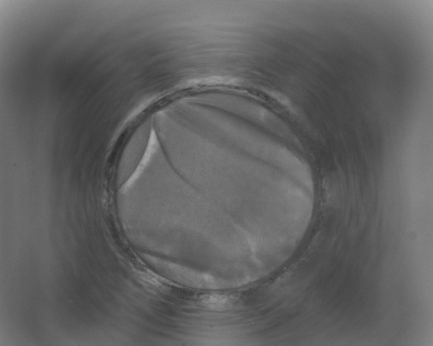 X0000066931266200604141948