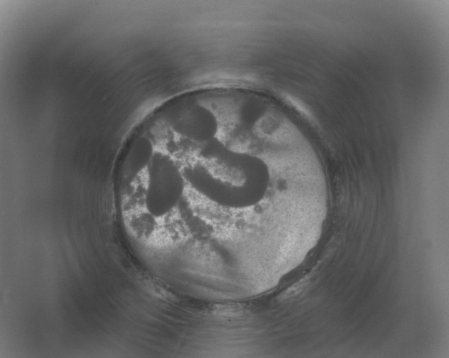 X0000066931267200604141948