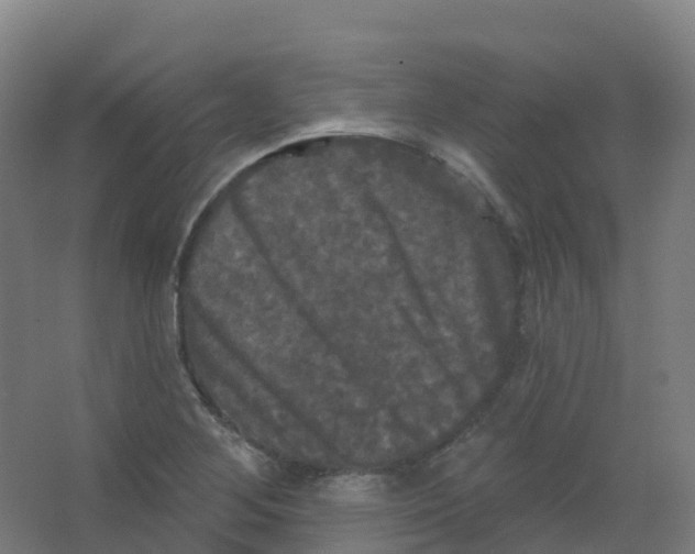 X0000066931268200604141948