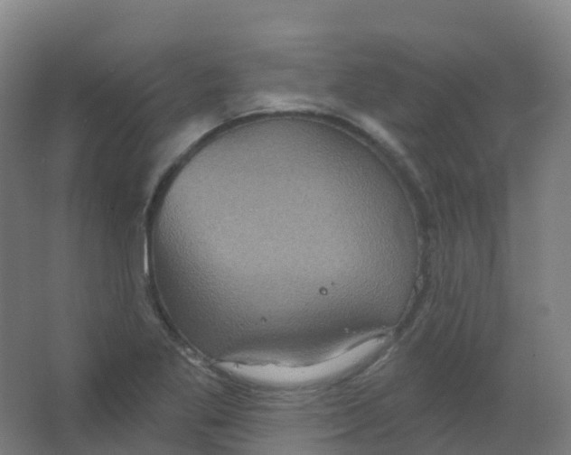 X0000066931269200604141948