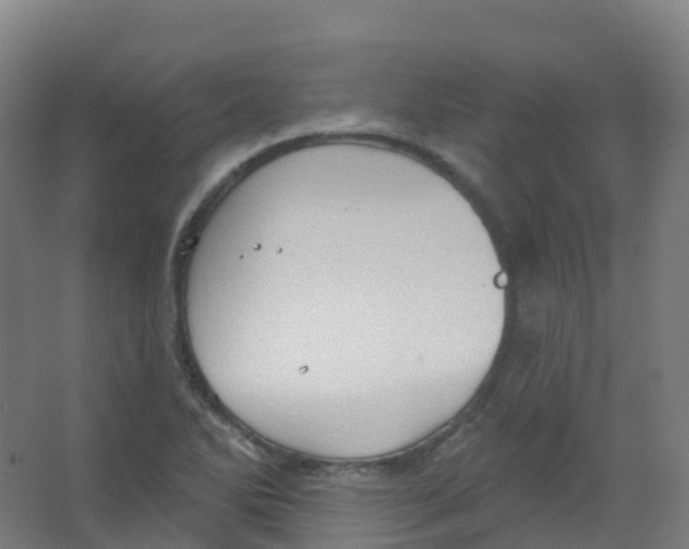 X0000066931270200604141948